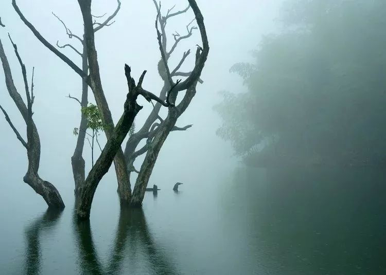 这块带有“仙气”的永泰风景岩，想要打翻你对自然风光的印象