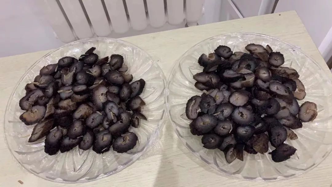 《新闻夜航》又送福利啦!养生壶、压力锅、破壁机、光波炉,你想要的全都有!