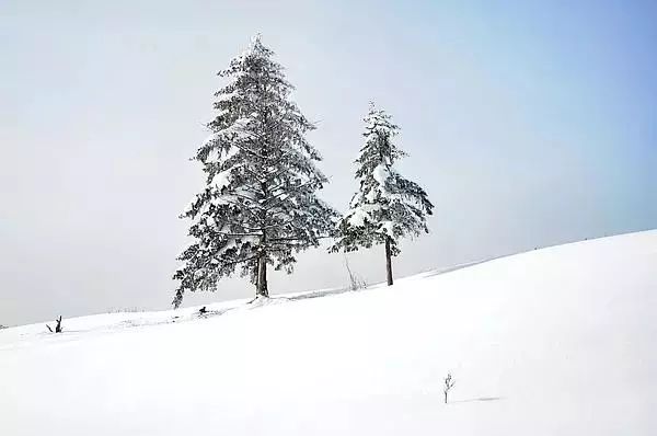 廿四节气丨和大家聊聊“大雪的几件事”