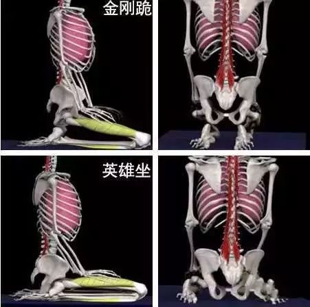 瑜伽金刚离心跪,瑜伽金刚跪的热身体式