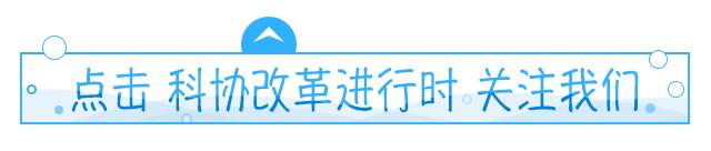 农技专家服务团助力乡村振兴,市科协助力乡村振兴提供科技智库