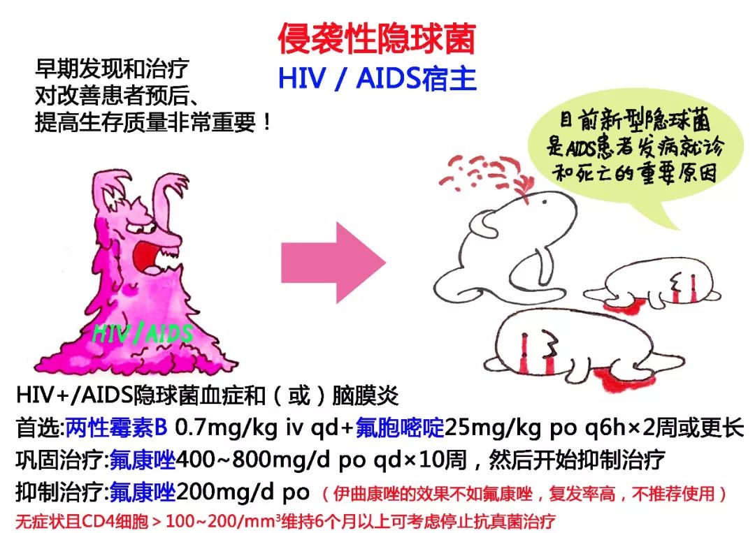 隐球菌病的封神榜,又实用又好玩!
