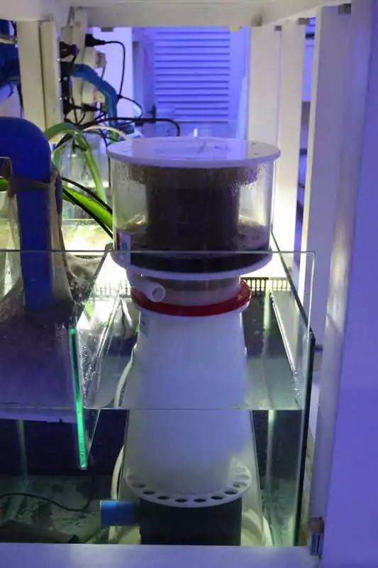 60海缸开缸全记录,1.2米的海缸开缸需要多少费用