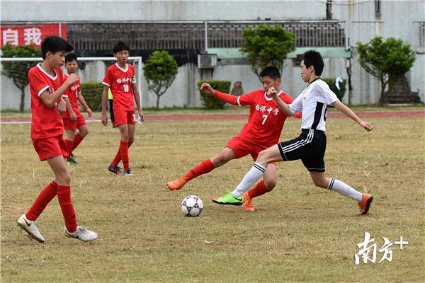 惠州足球联赛冠军,惠州青少年足球8人制比赛