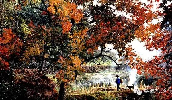 各类英雄好汉齐聚于此,各路英雄好汉齐聚完整版