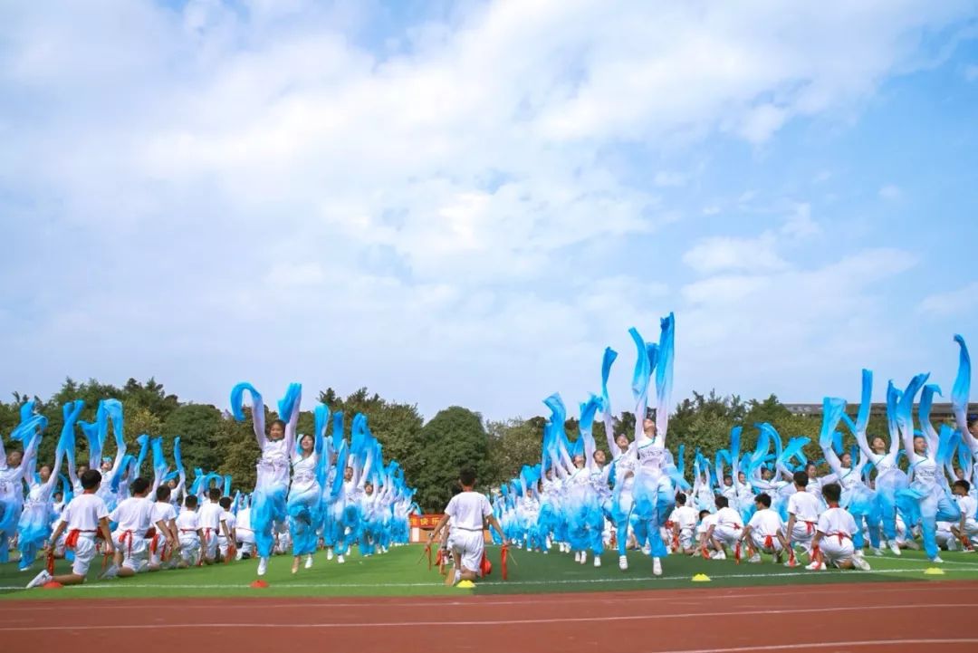 辉煌60年·壮美新广西｜青秀区各学校以实际行动庆祝改革开放40周年和自治区成立60周年