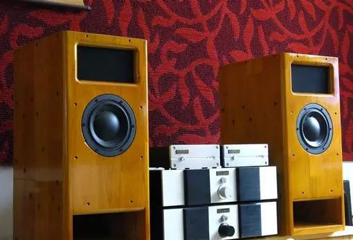 音响消除杂音技术,音响有震动的杂音