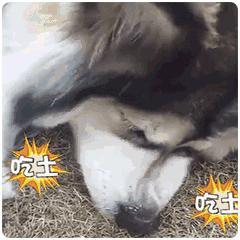 六安这些人可以免费提新车啦!