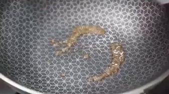 德国物理不粘锅,德国物理不粘锅是真的吗