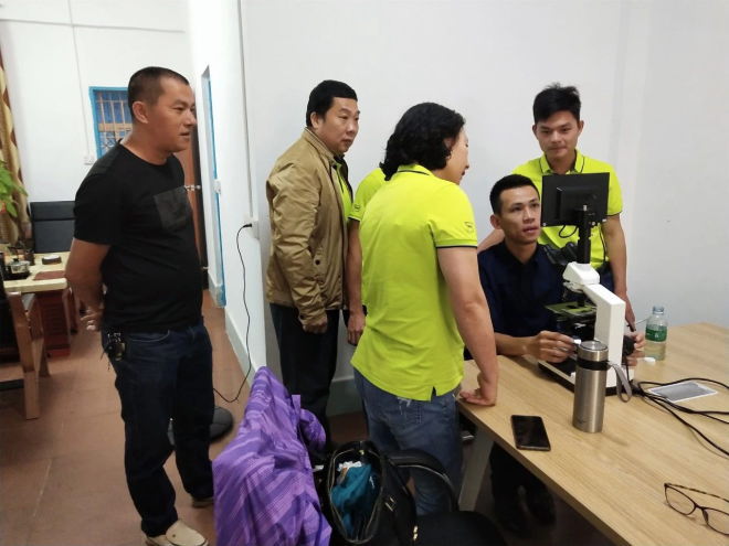 水产养殖如何杀灭蓝藻病害,蓝藻绿藻怎么防治