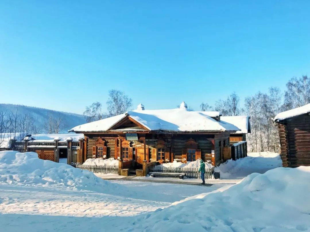 2019年，你应该去亚寒带看看