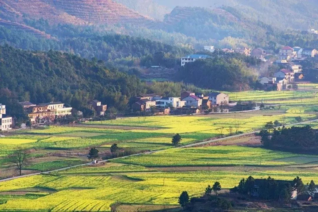 湖南乡镇区划调整改革意见,湖南省的10强县