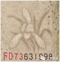 速看!牢记这三大特征,和*币假**说“拜拜”