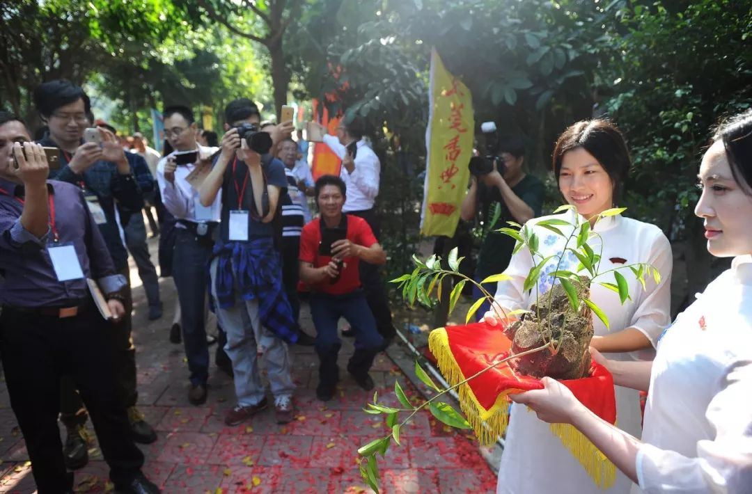 文广新局和文旅局,多措并举建设文化强市