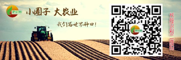 氯基和脲基复合肥区别,氯基和氨化氯基的区别