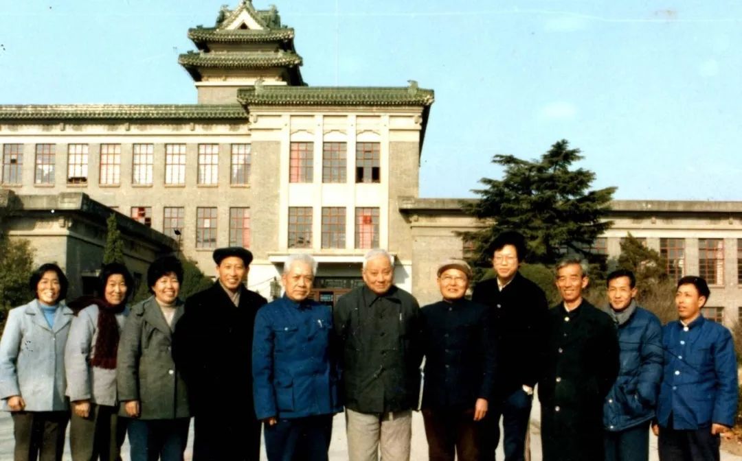 松树也变黄了,松树变红的原因