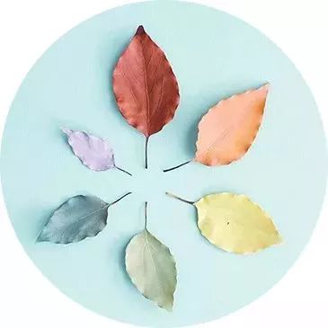 为何hpv疫苗预约都没号,hpv疫苗一年预约超过两次该怎么办