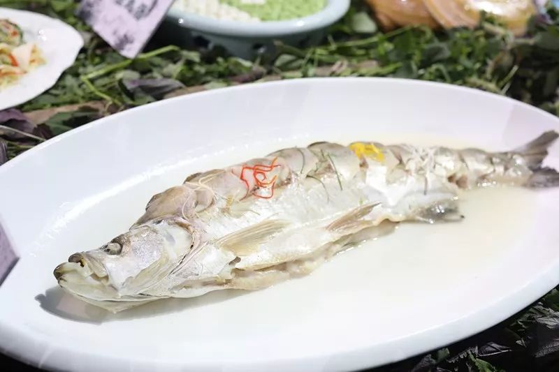 收藏的美食合集,收藏美食大全视频