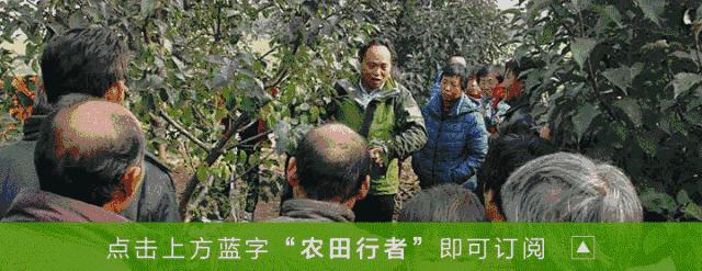 豁出去了!我要帮菜农们说说难听的真心话,他们真的快坚持不下去了!