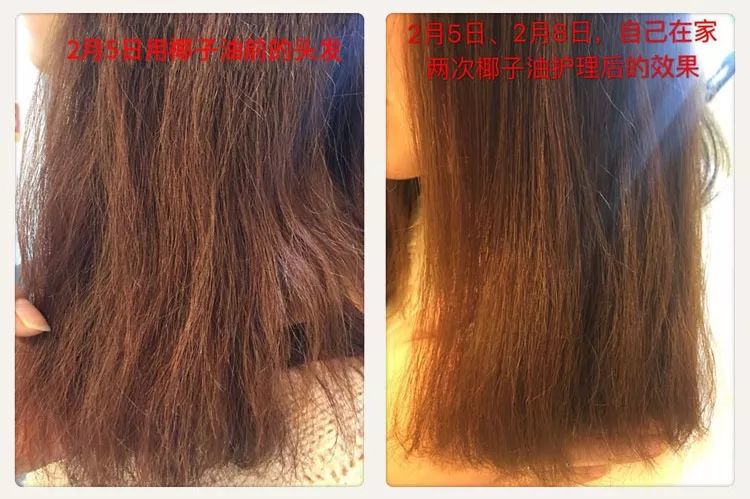 最近很火的椰子油,明星推荐椰子油视频