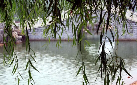 最新评定!4个省五星级公园,3个在邯郸!你去过吗?