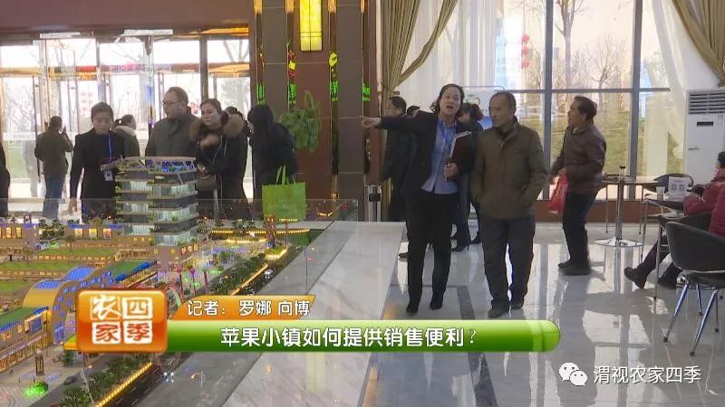 互联网苹果小镇接待中心,白水互联网苹果小镇招商直播