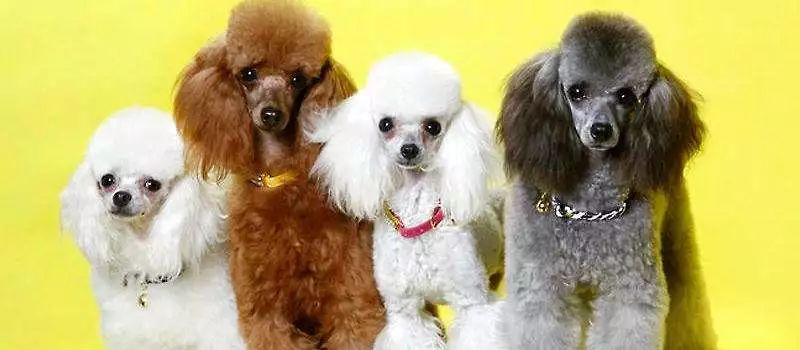 可怕！女子上臂鼓出个蚕豆大小的包，摸起来软软的，还会动！