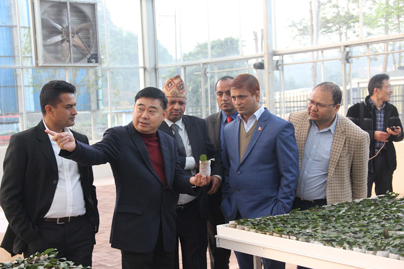 以茶为媒精诚合作,尼泊尔考察团访问川茶