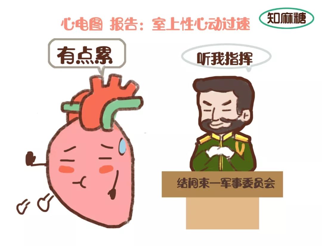 糟了是心动的感觉免费观看,糟了是心动的感觉原版