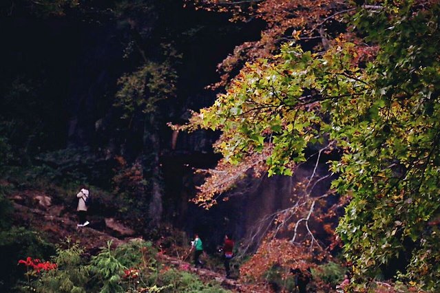 抖音十大热门旅行目的地,抖音十大热门旅行目的地公布