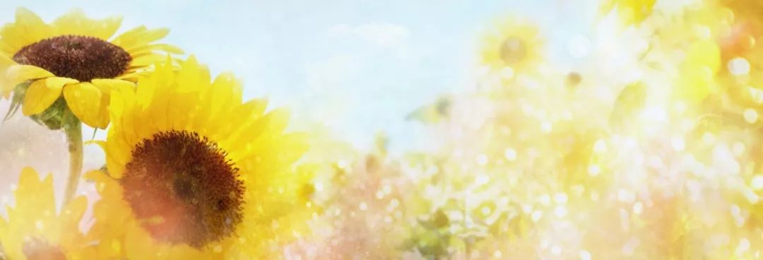 青年教师下乡支教的作文600字,支教老师千字长文