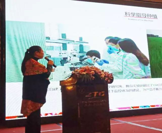 青年企业家助力高质量发展,民营经济招商推介会