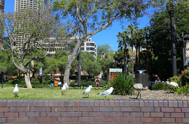 一路向南自驾游记,一路向南自驾行