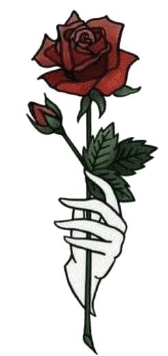 magicpower日本,magicpower拆解