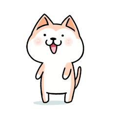 大连最新管控时间,大连最新重要通告