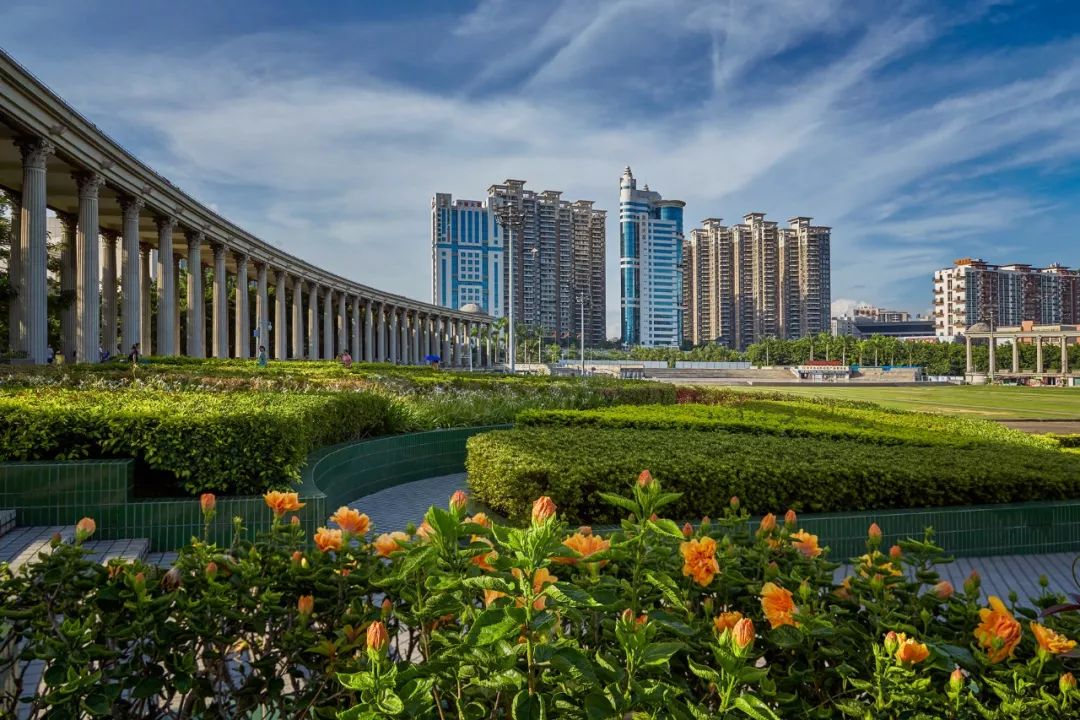 新安、福海、沙井、新桥、燕罗2019年关键词出炉,速度来get!