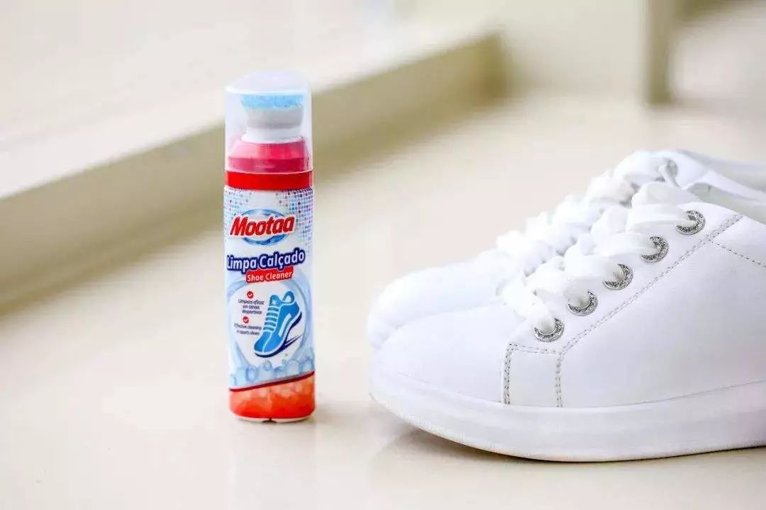 难熬的4月，幸好有它们陪我