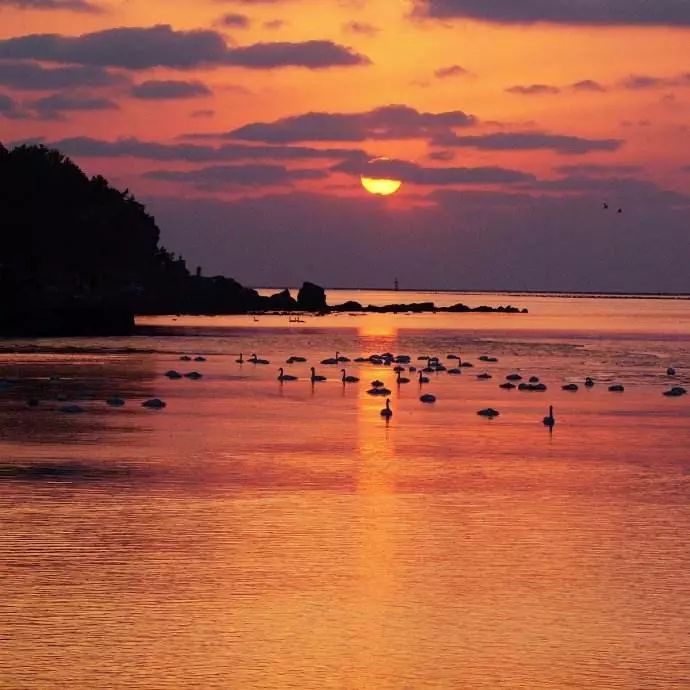 最具幸福感的县级市中唯一一座上榜的北方小城，光是海鲜就能吃到你激灵！