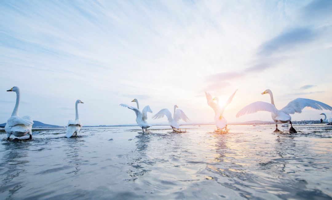 最具幸福感的县级市中唯一一座上榜的北方小城，光是海鲜就能吃到你激灵！