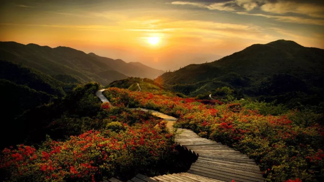 湖南县域旅游经济100强,湖南县域旅游排行榜