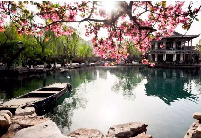 1月机票白菜价！从洛阳出发，最低只要170元！比坐车还便宜！