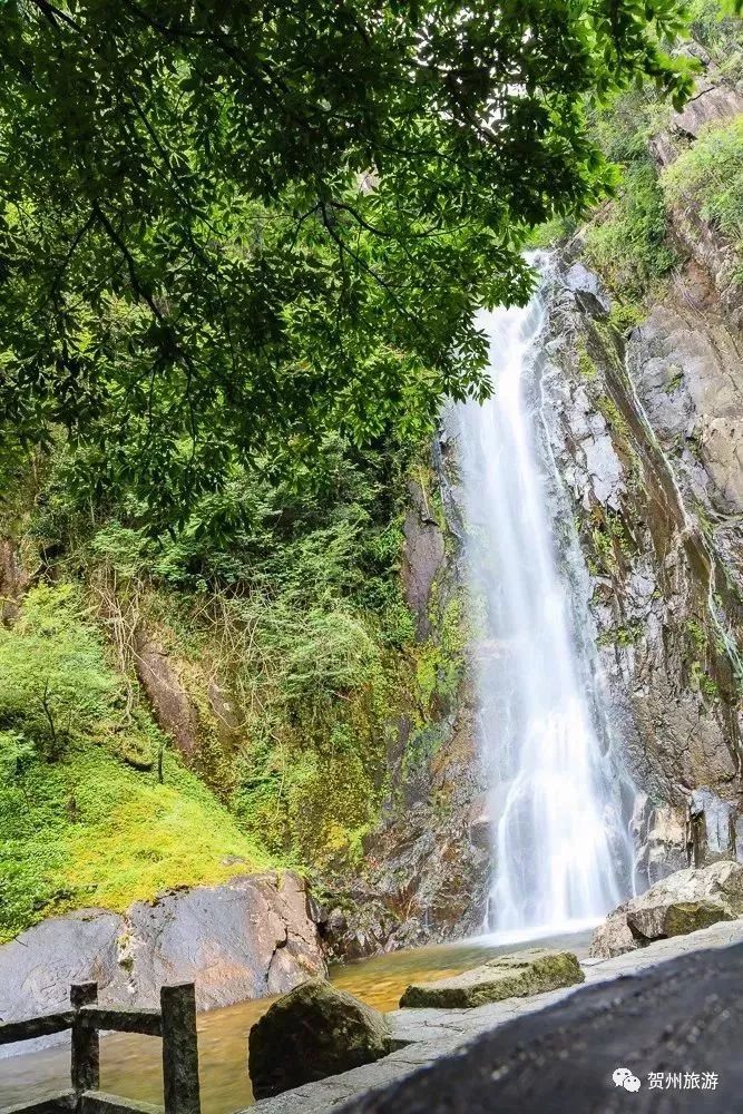 温泉森林氧吧,温泉鸟巢