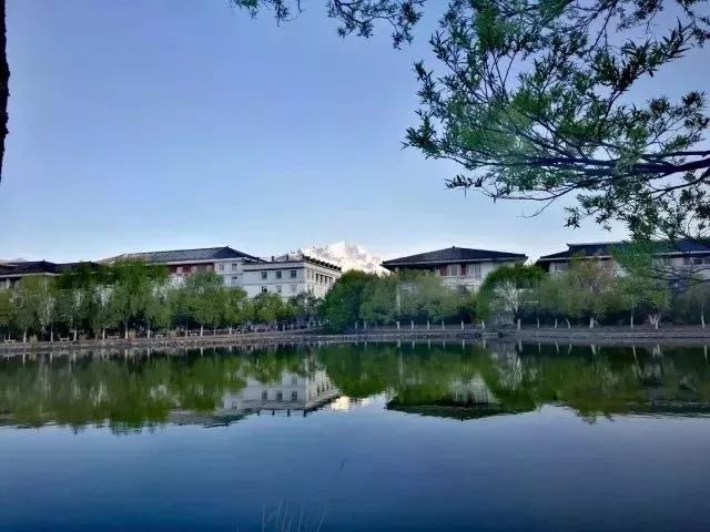 丽江在世界排名第一的大学,想想就激动