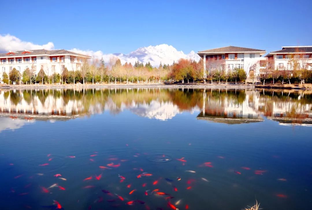丽江在世界排名第一的大学,想想就激动