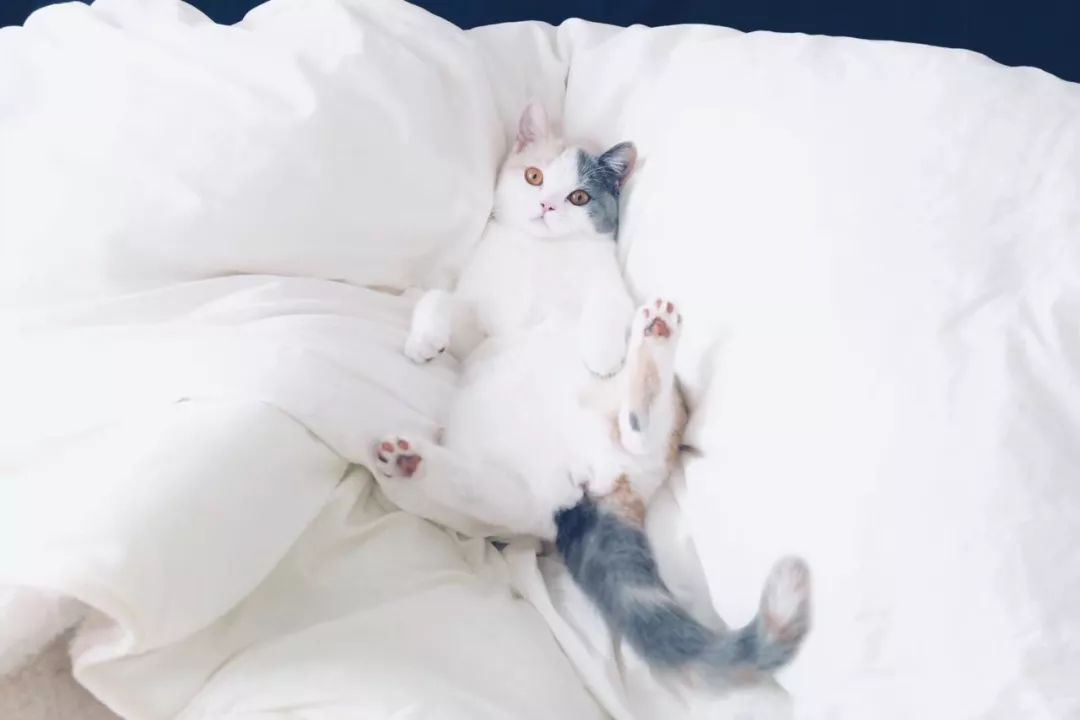 请接受一份2018年的礼物,2018年的新年礼物