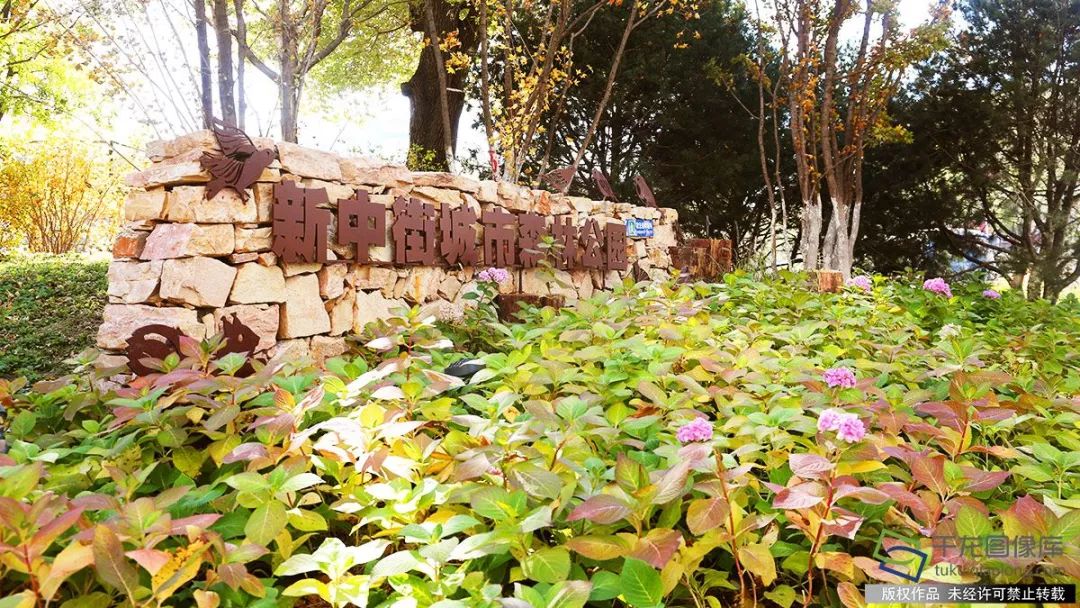 北京明年将再添25个公园,北京2019年新建公园