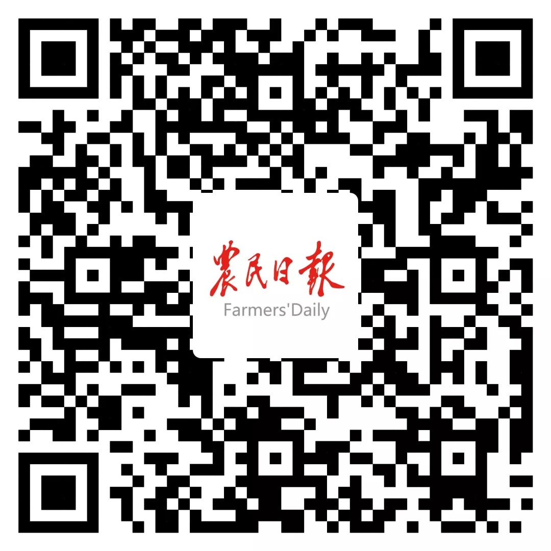 “活出职业农民的新样子!”——“80后”张凌云创业记