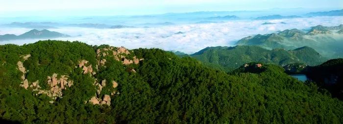 美丽中国绘画大赛获奖作品,美丽中国东北林业