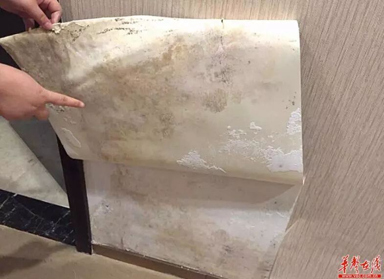 北辰定江洋270平房子,北辰定江洋285平毛坯