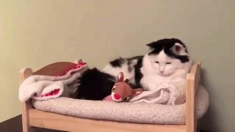 旧丝棉枕头处理技巧,旧枕头套千万别扔掉